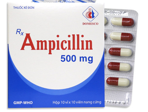 Ampicillin 500mg Domesco